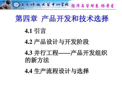 產(chǎn)品開發(fā)與技術(shù)選擇 技術(shù)開發(fā)的策略與實踐