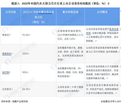 2023年中國(guó)汽車(chē)大算力芯片行業(yè)競(jìng)爭(zhēng)格局與市場(chǎng)份額深度洞察