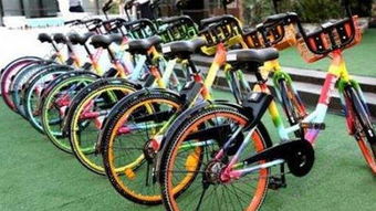 共享單車接連倒閉,背后的真相到底是什么